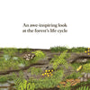 WHEN A TREE FALLS BOOK