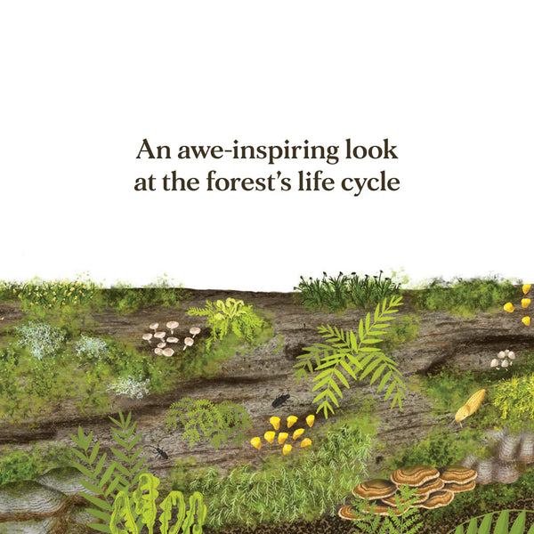WHEN A TREE FALLS BOOK