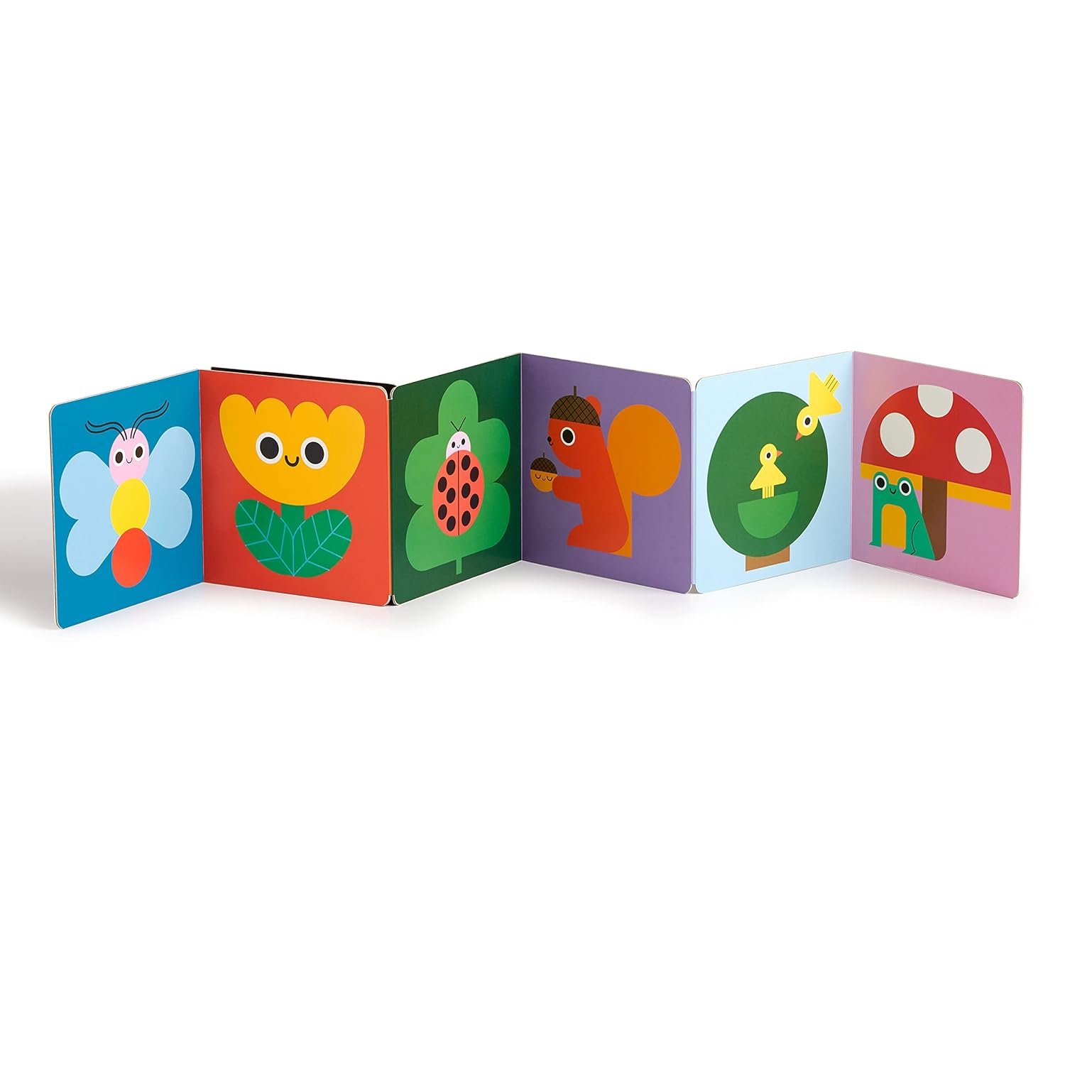 Children's board book with colorful illustrations on a white background