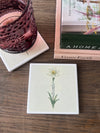 BIRTH FLOWER MONTH COASTER
