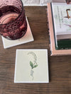 BIRTH FLOWER MONTH COASTER