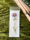 MAGNET OF BIRTH FLOWER MONTH
