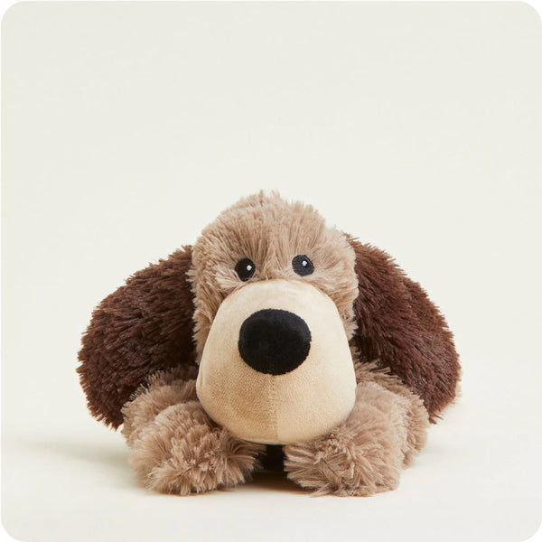 BROWN DOG WARMIE