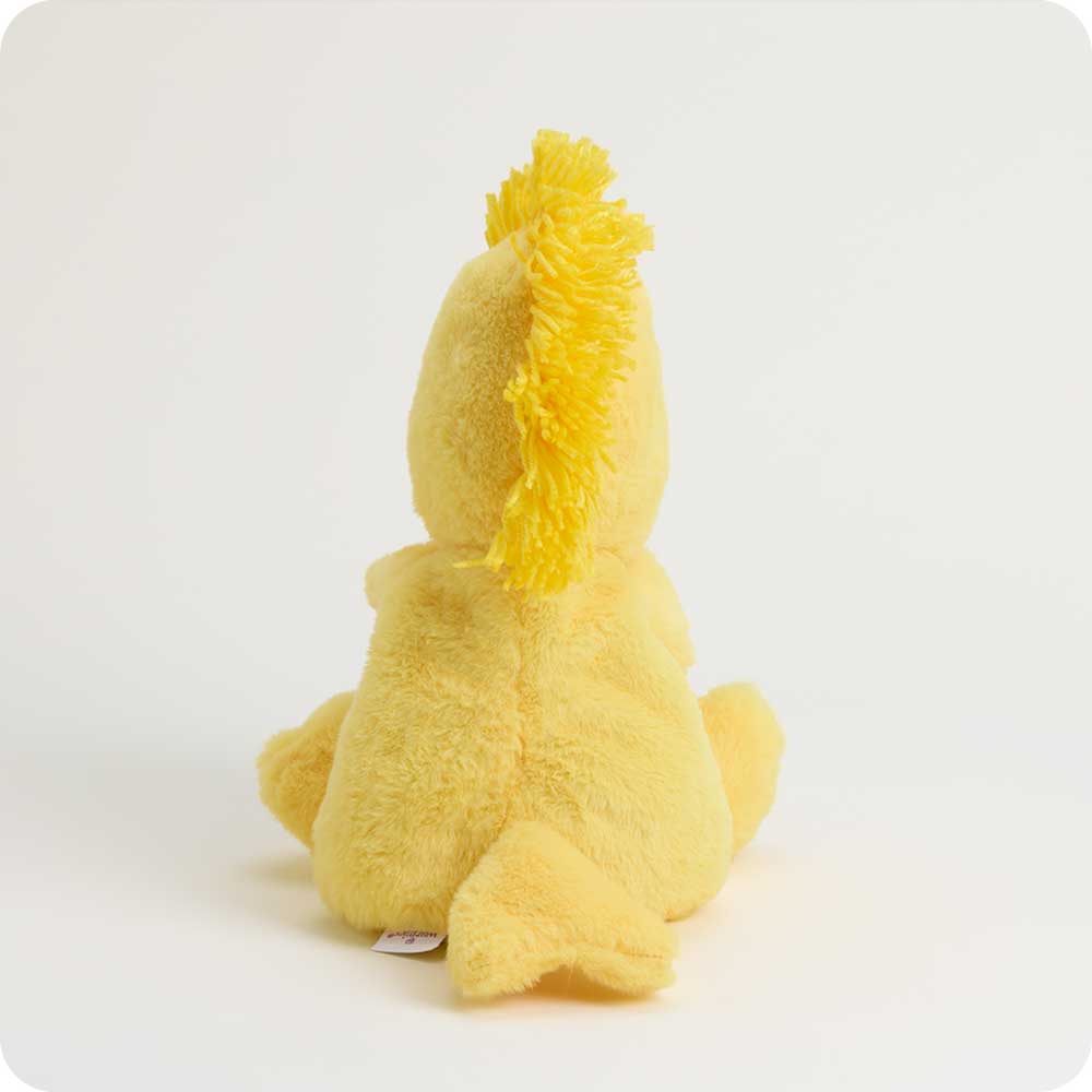 EASTER EGG WOODSTOCK WARMIES®