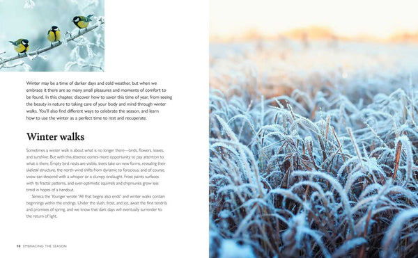 WINTER WELLBEING BY CICO BOOKS: HARDCOVER: 144 PAGES / ENGLISH