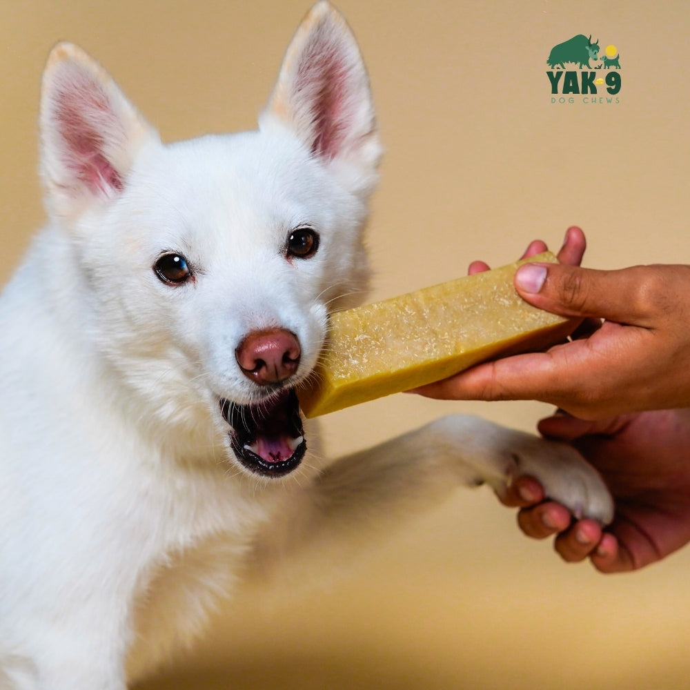 COCONUT CHEESE CHEWS FOR DOGS