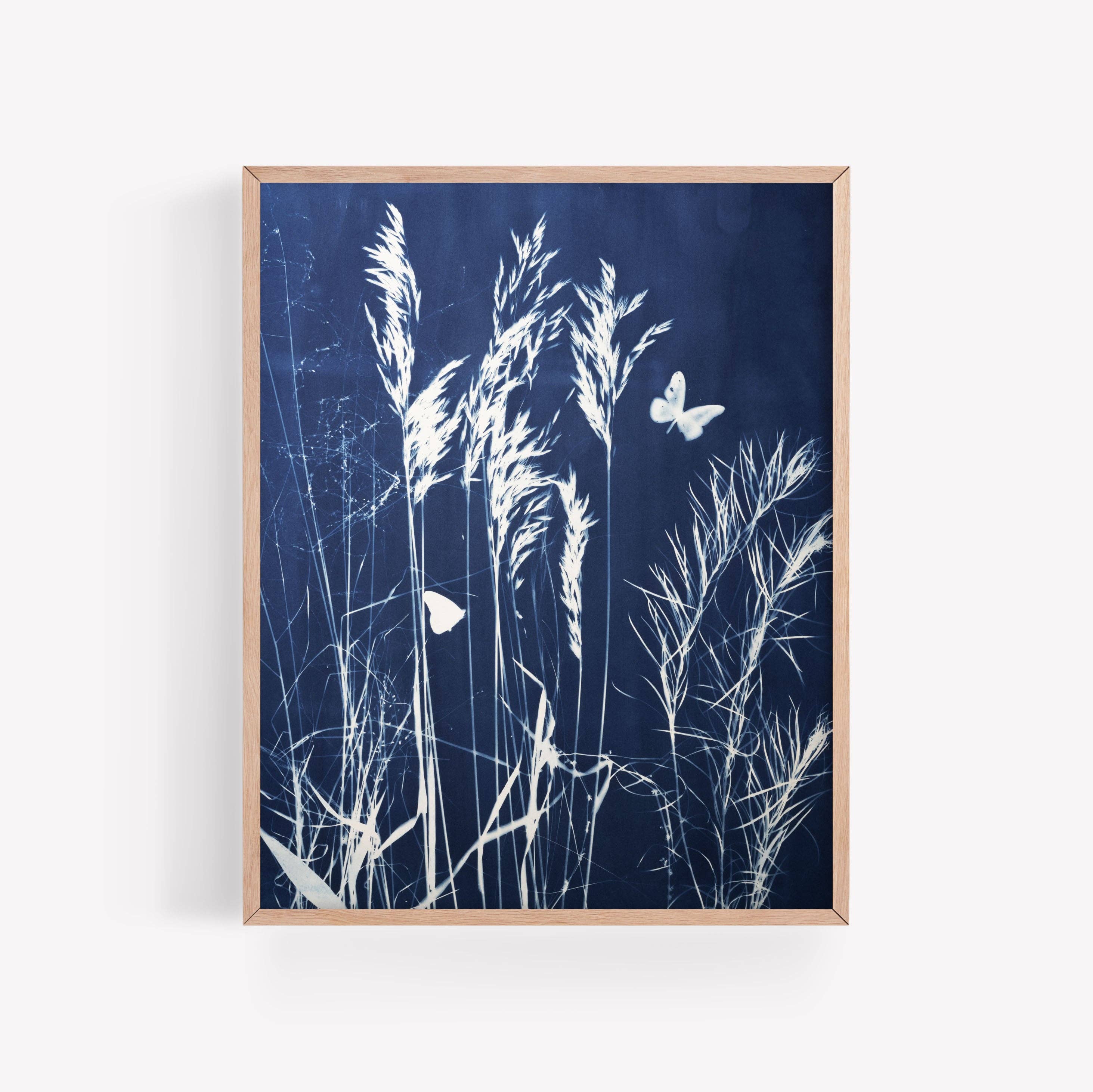 FLOATING FLIGHT | BOTANICAL CYANOTYPE ART PRINT