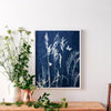 FLOATING FLIGHT | BOTANICAL CYANOTYPE ART PRINT