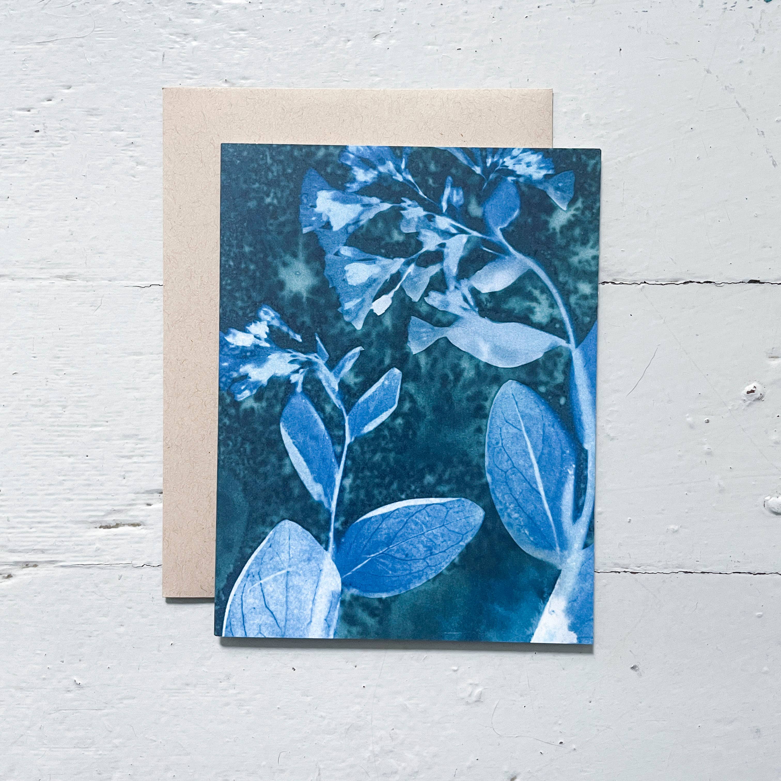 Slow Mornings no. 4 | Botanical Cyanotype Blank Card