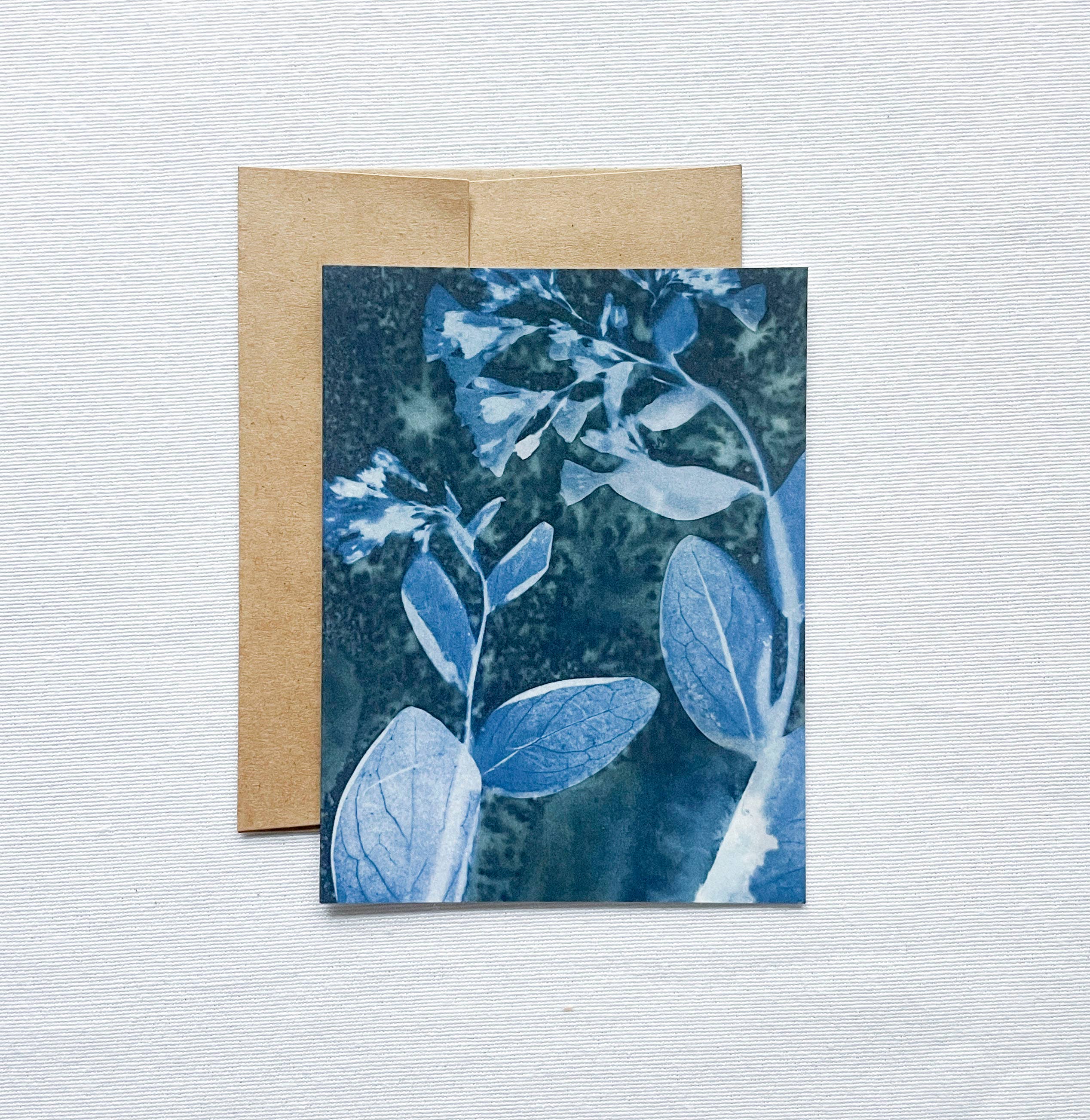 Slow Mornings no. 4 | Botanical Cyanotype Blank Card