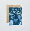 Slow Mornings no. 4 | Botanical Cyanotype Blank Card