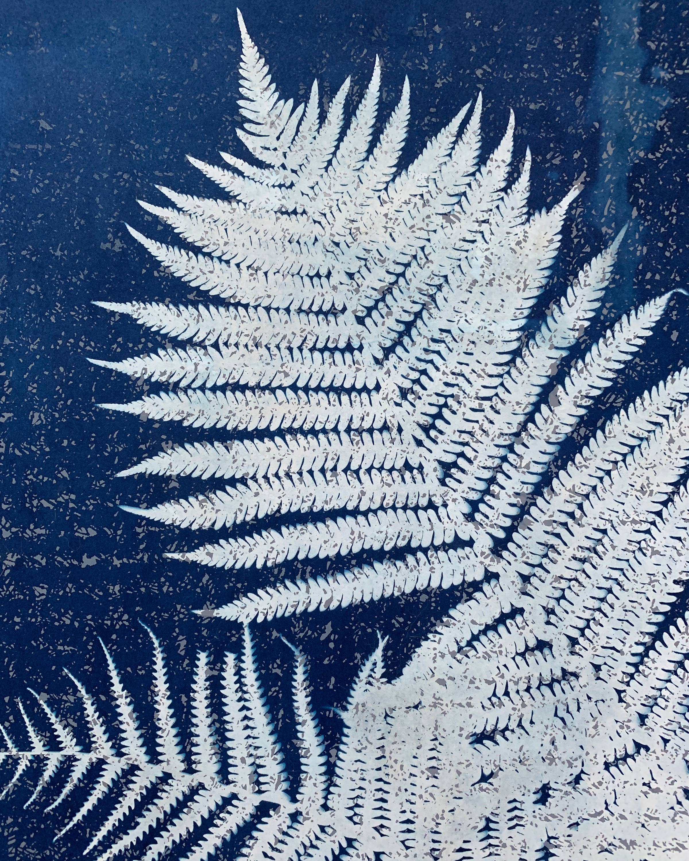 Under the Sun no. 7 | Botanical Cyanotype Blank Card