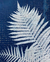 Under the Sun no. 7 | Botanical Cyanotype Blank Card
