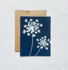 Under the Sun no. 8 | Botanical Cyanotype Blank Card