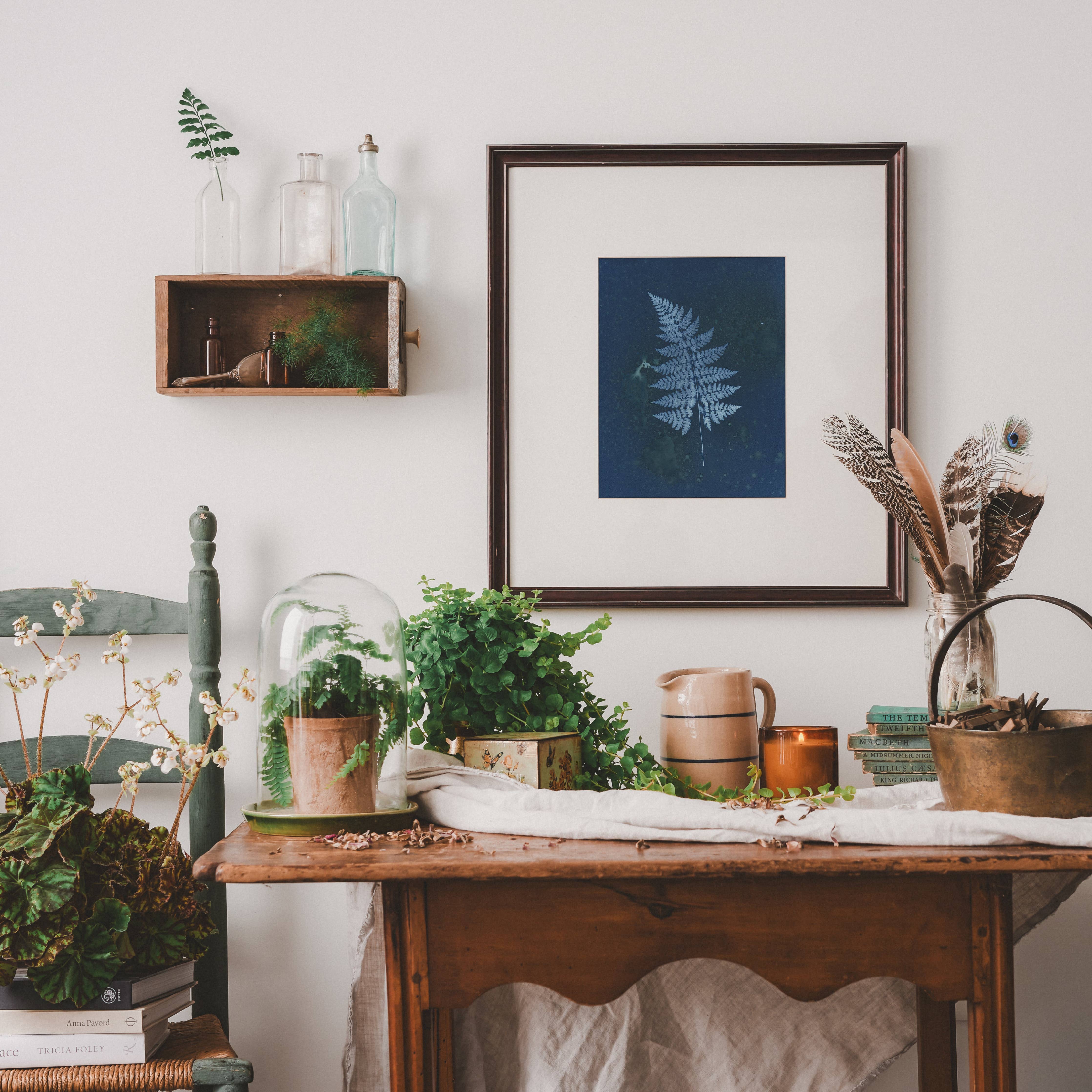 Mystery Fern | Botanical Cyanotype Art Print