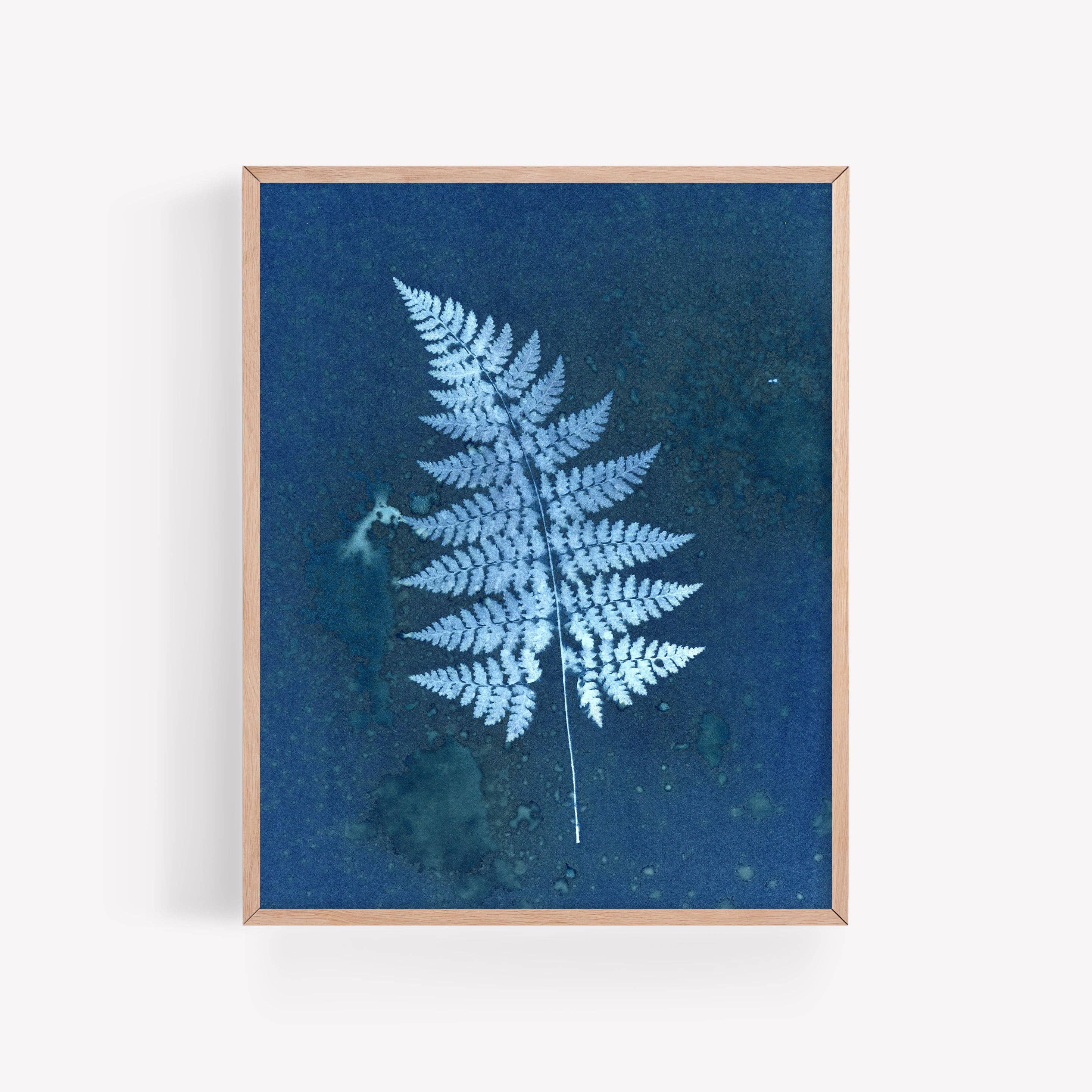 Mystery Fern | Botanical Cyanotype Art Print