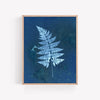 Mystery Fern | Botanical Cyanotype Art Print