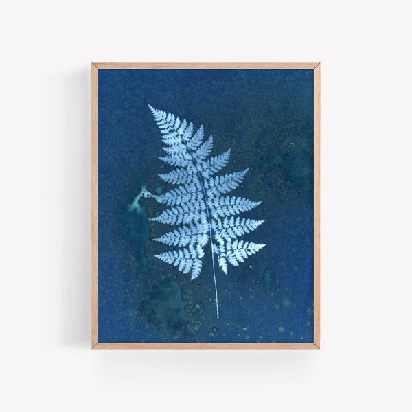 Mystery Fern | Botanical Cyanotype Art Print