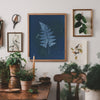 Mystery Fern | Botanical Cyanotype Art Print