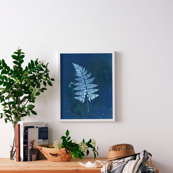 Mystery Fern | Botanical Cyanotype Art Print