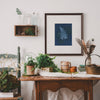 Mystery Fern | Botanical Cyanotype Art Print