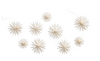 A string of cream-colored paper pom-pom garland, featuring multiple starburst-shaped decorations on a solid white background.