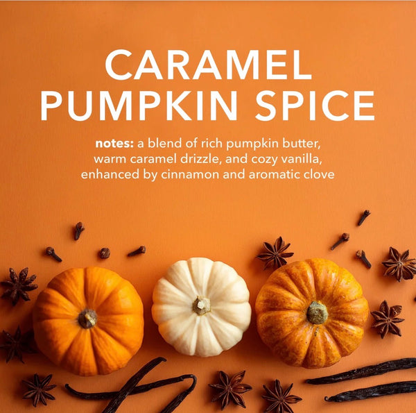 Caramel pumpkin spice fragrance notes overlay text on a picture of mini pumpkins