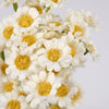 MINIATURE DAISIES BOUQUET