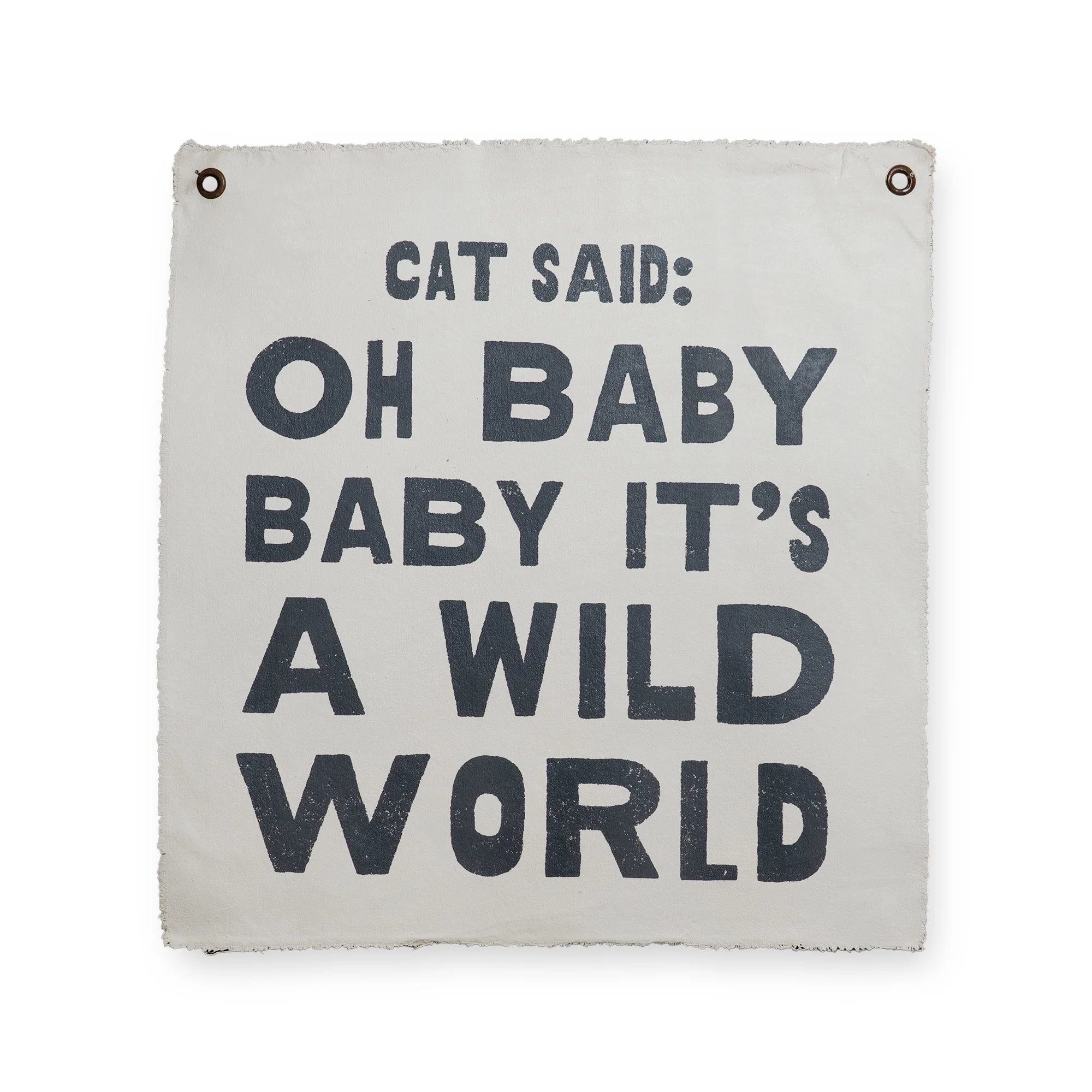 CAT SAID 25