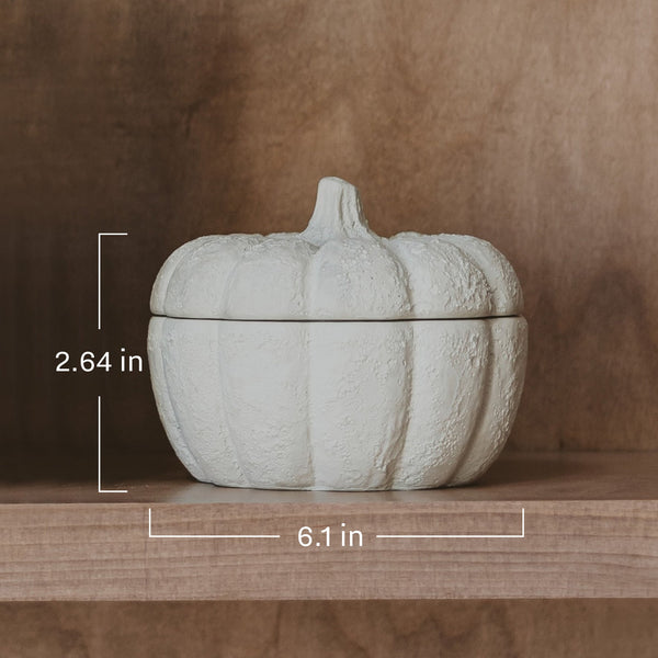 CASHMERE AND VANILLA SOY CANDLE - CEMENR PUMPKIN JAR - 13.5 OZ