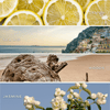 COASTAL LEMON SOY CANDLE - CLEAR PATTERNED JAR - 9 OZ