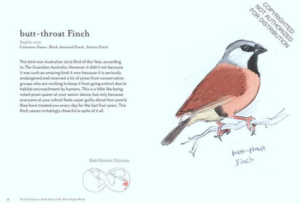 THE FIELD GUIDE TO DUMB BIRDS OF THE WHOLE STUPID WORLD BOOK