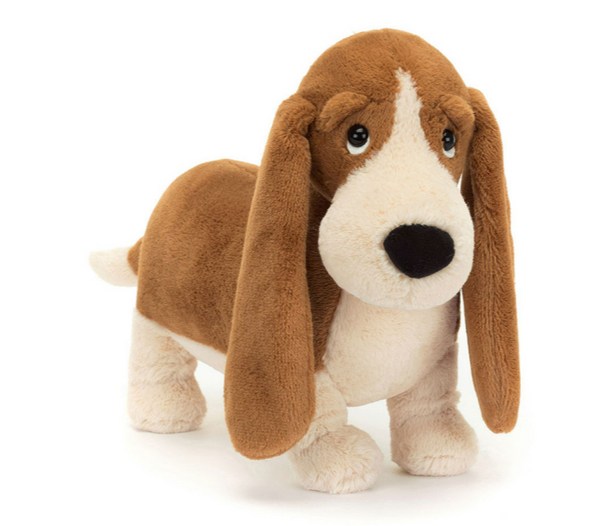 RANDALL BASSET HOUND