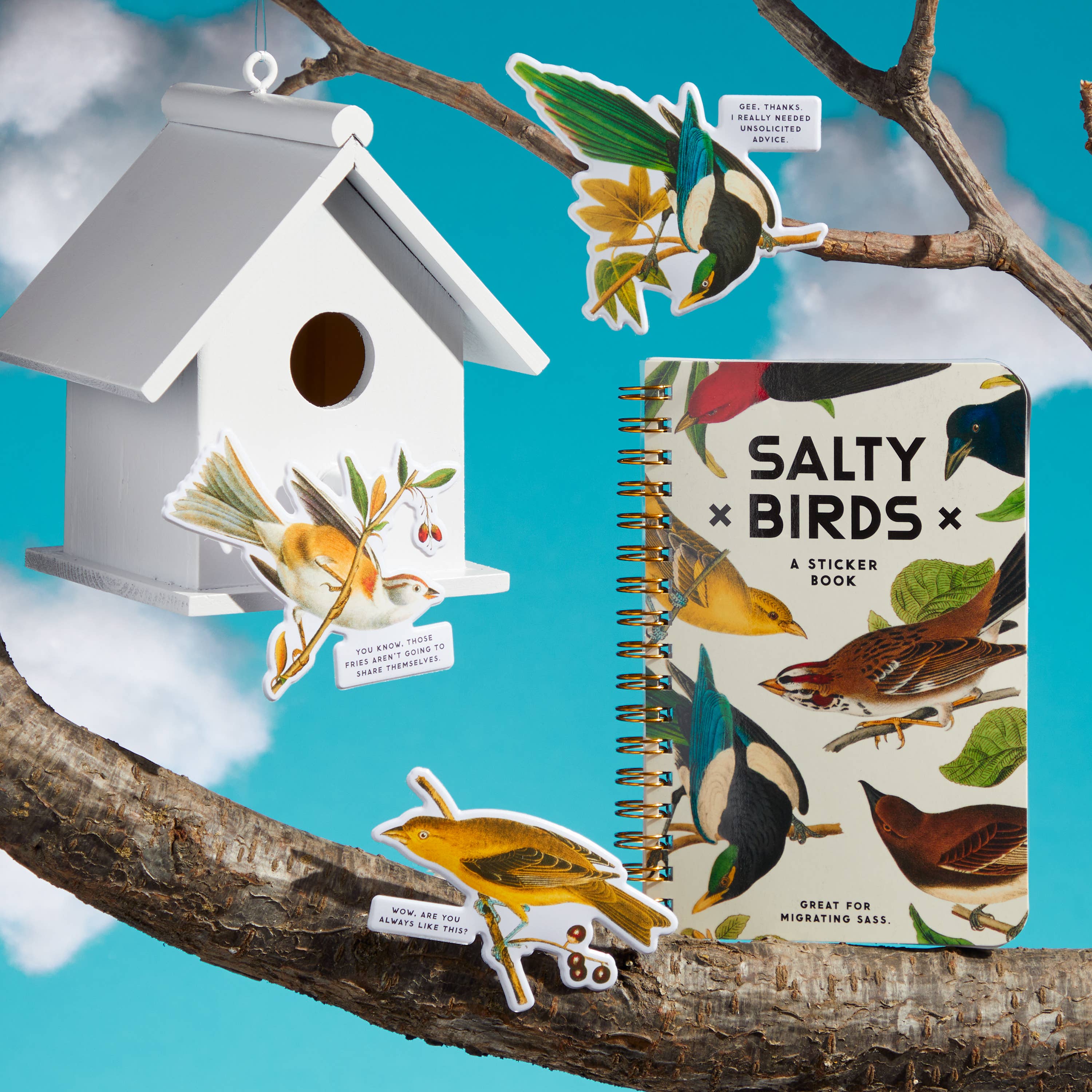 BRASS MONKEY SALTY BIRDS STICKER BOOK