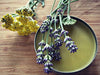 LAVENDER SALVE