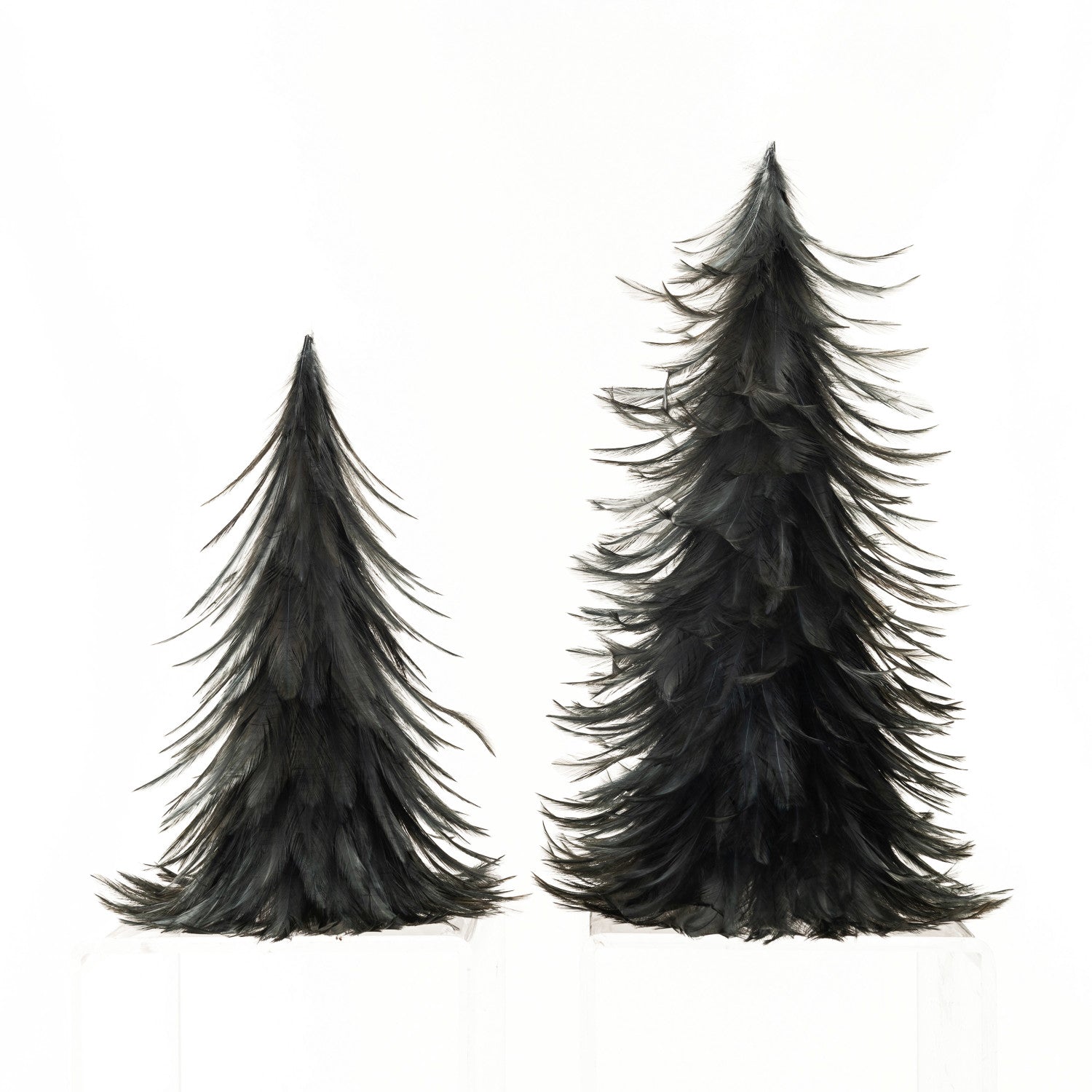 FEATHER TREES