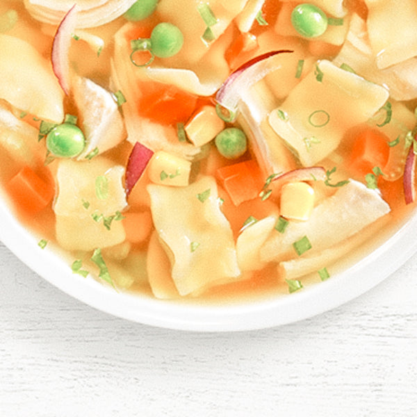 CHICKEN NOODLE SOUP MIX