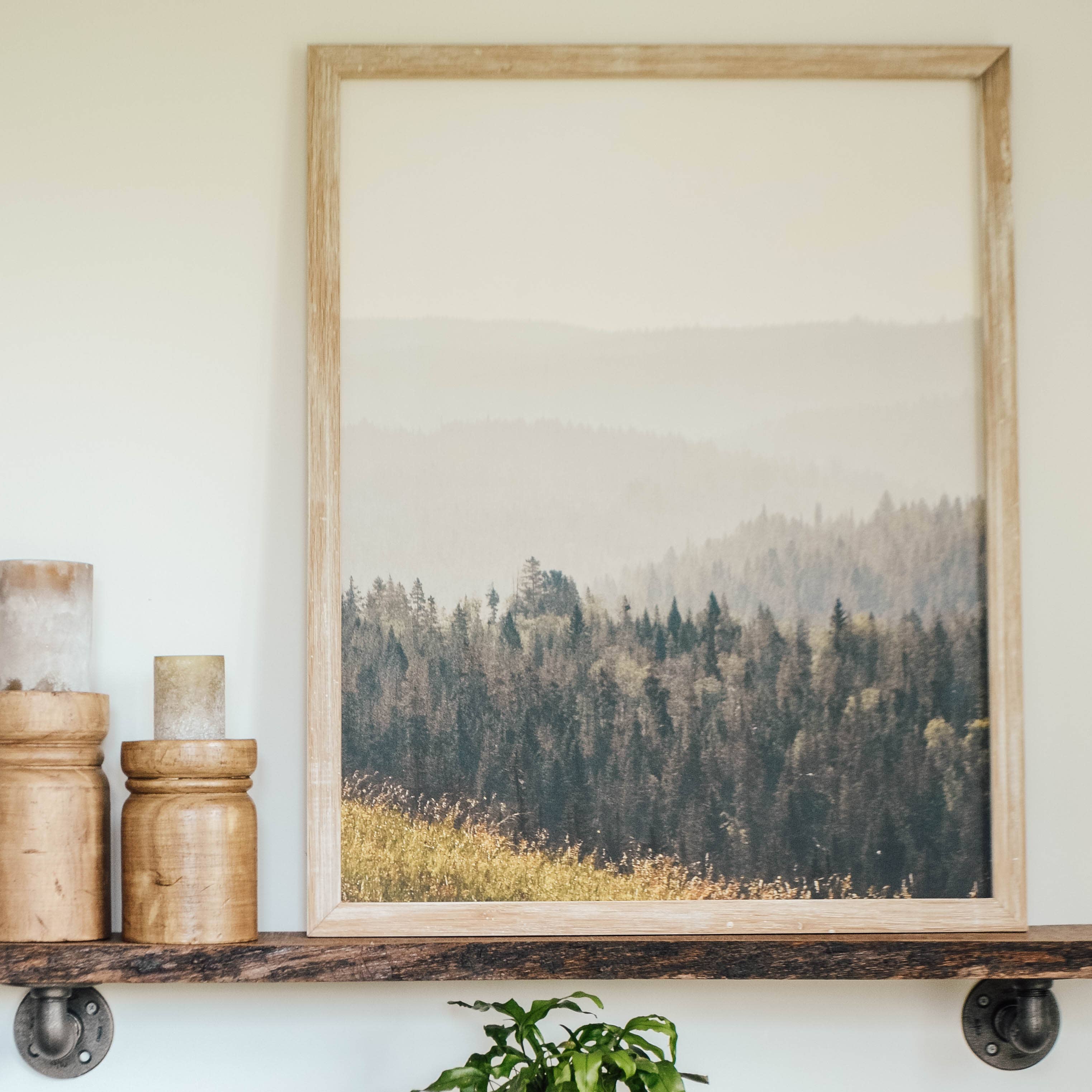 OREGON FOREST - FRAMED CANVAS ARTWORK